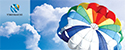 Company Profile 2012